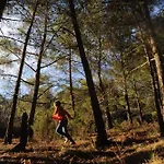 Foresta In Medias Mores Hotel 3*