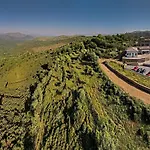 Hotel Foresta In Medias Mores 3*