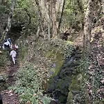 Foresta In Medias Mores 3* Tripoli