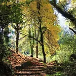 Foresta In Medias Mores Tripoli