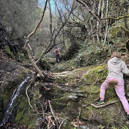 Foresta In Medias Mores Tripoli