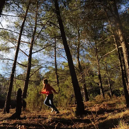 Foresta In Medias Mores Hotel 3*