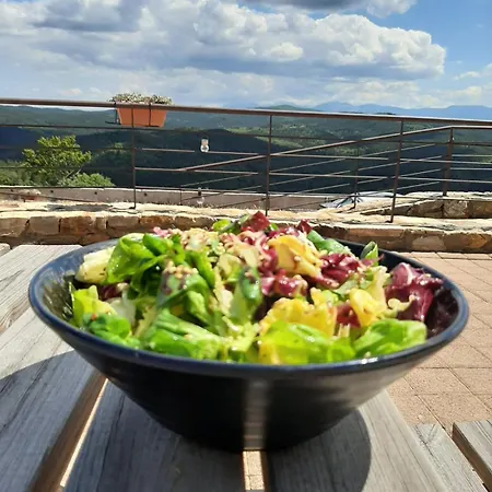 Hotel Foresta In Medias Mores