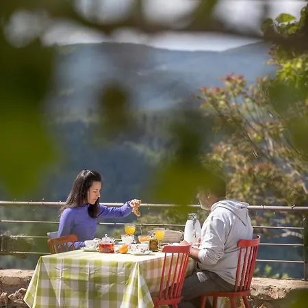 Foresta In Medias Mores Hotel 3*