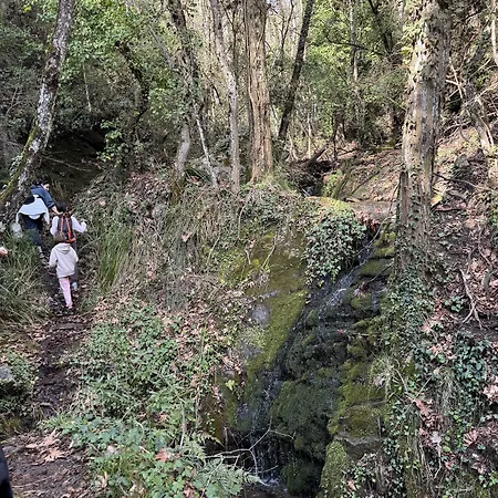 Foresta In Medias Mores 3* Tripoli