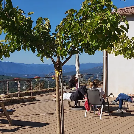 Foresta In Medias Mores Hotel