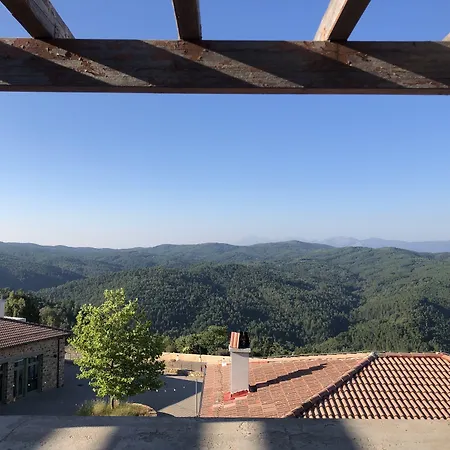 Hotel Foresta In Medias Mores 3*