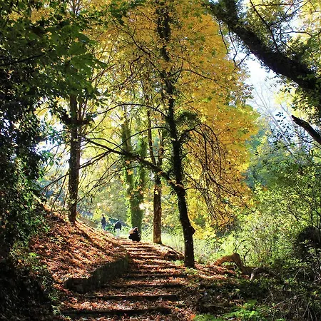 Foresta In Medias Mores Tripoli