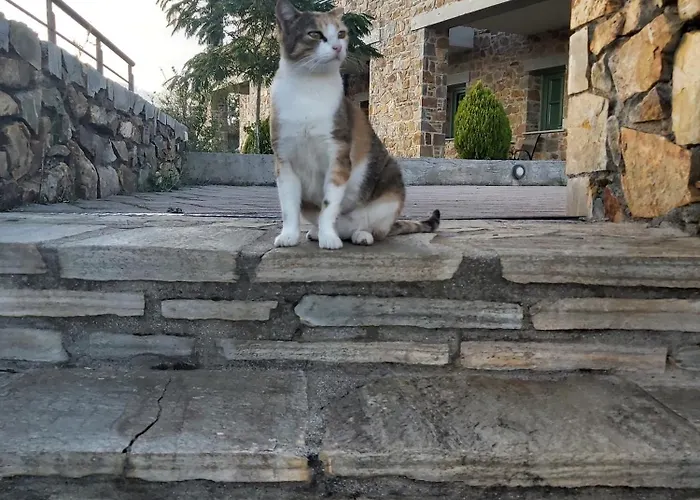 Foresta In Medias Mores 호텔 3*