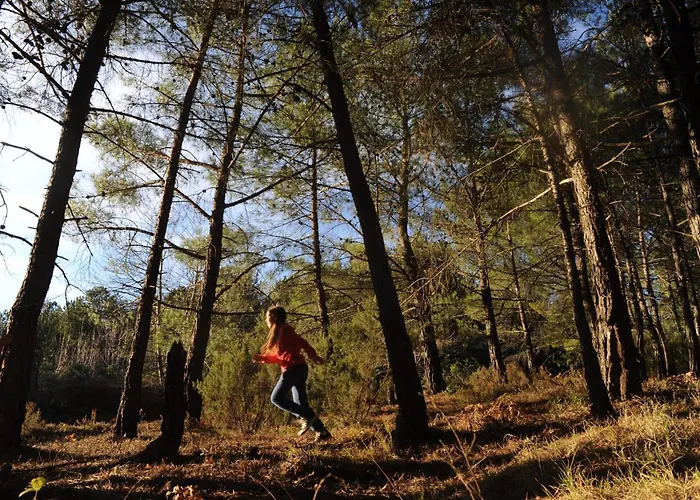 Foresta In Medias Mores Otel 3*