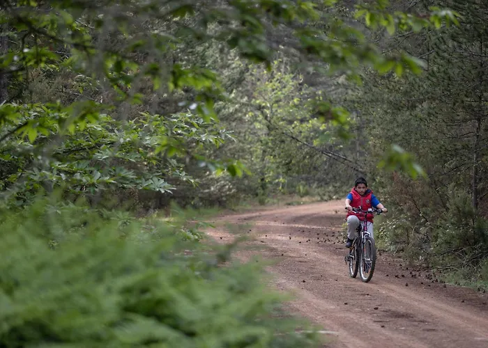 Szálloda Foresta In Medias Mores Trípoli