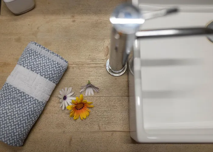 Foresta In Medias Mores 3*