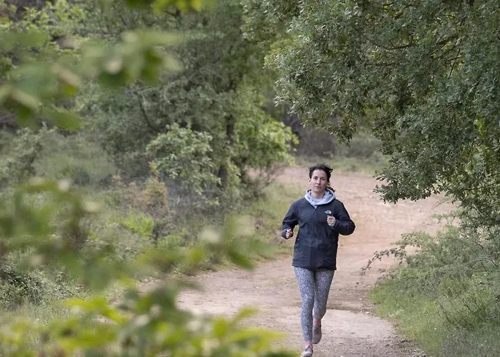 Foresta In Medias Mores