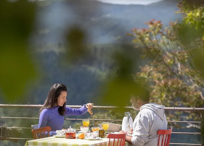 Foresta In Medias Mores Otel 3*