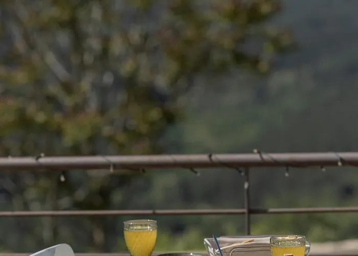 Foresta In Medias Mores Otel 3*