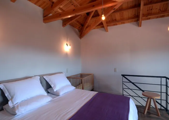 Szálloda Foresta In Medias Mores