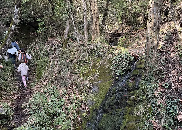 Foresta In Medias Mores 3* Trípoli