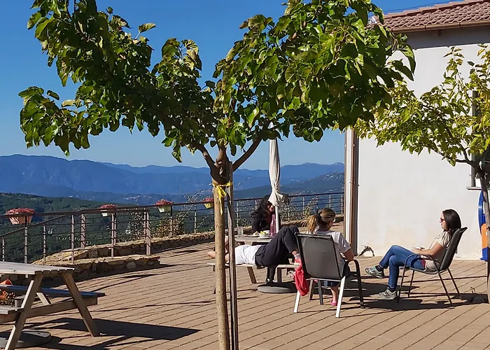 Foresta In Medias Mores Otel