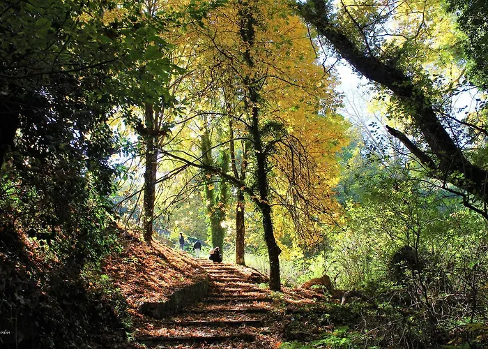 Foresta In Medias Mores 트리폴리스